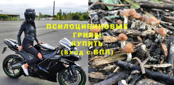 ГАЛЛЮЦИНОГЕННЫЕ ГРИБЫ Остров